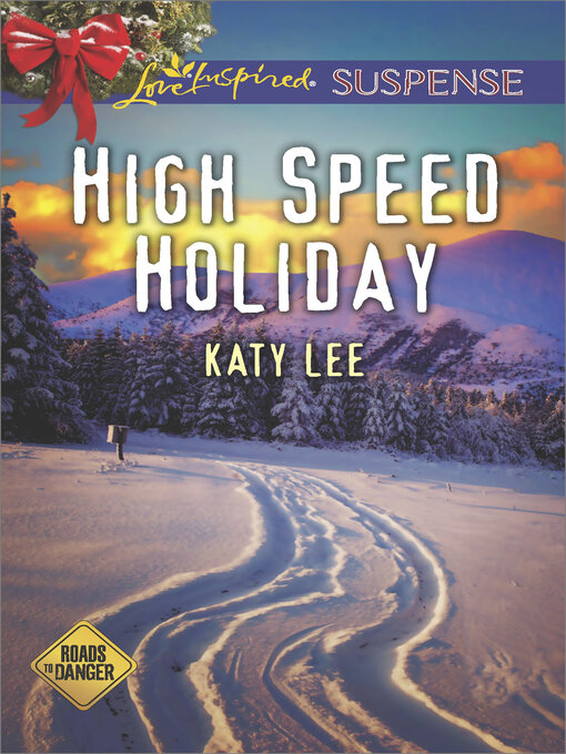 Cover image for High Speed Holiday